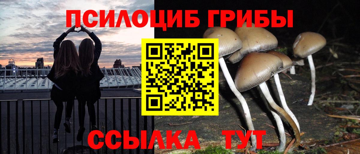 Псилоцибиновые грибы Cubensis  Галлюциногенные грибы мицелий  как найти   Обнинск  Вход с VPN 